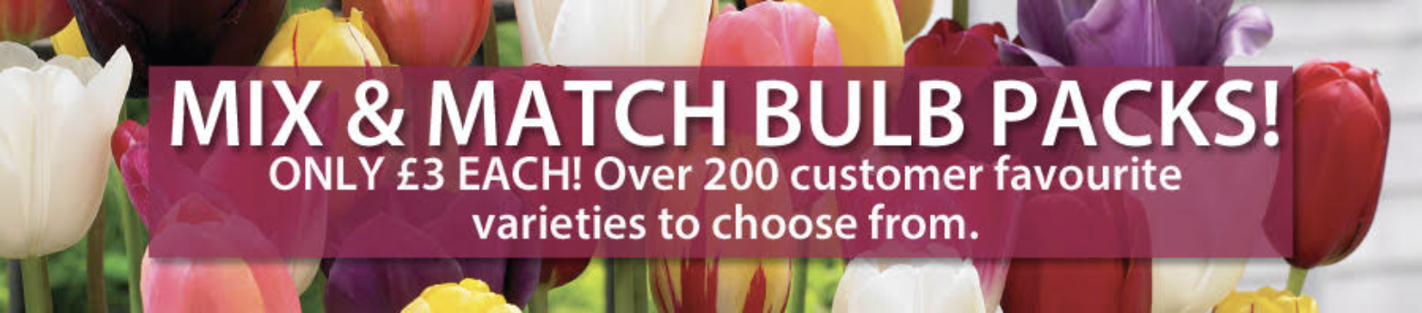 Mix & Match Bulb Packs — only £3 each, over 200 varieties. Ends 3 Aug 2026.